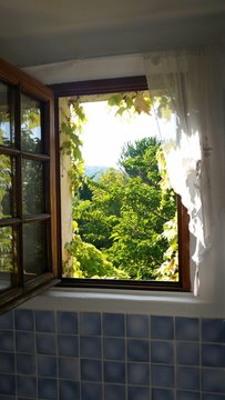 Fen&ecirc;tre ouverte sur la Provence