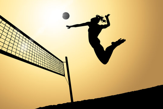 バレーボール のストック写真 ロイヤリティフリーの画像 ベクター およびビデオ Adobe Stock