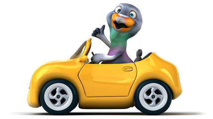 Fun pigeon
