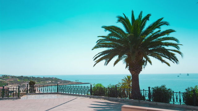 Tarragona balcony, beautiful sea view and palm tree, Costa Daurada, Spain