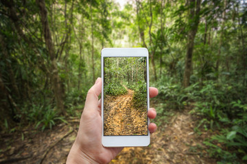 Business conceptual- Focused on left hand holding mobile with Trekking nature blurred background