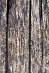 Wooden texture