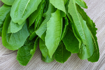 Romano salad leaves