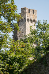 Turm der Ruine Schaunberg