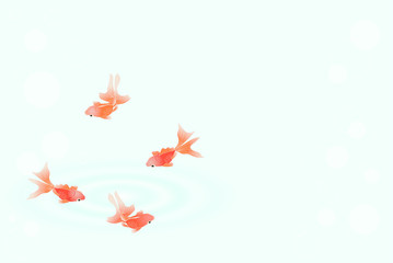 金魚■キンギョ・和金・流金・泡・波紋