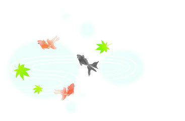 金魚■キンギョ・和金・流金・波・もみじ・カエデ・夏イメージ