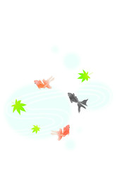 金魚■キンギョ・和金・流金・波・もみじ・カエデ・夏イメージ