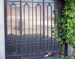 Locked gates with ornaments of metal strips