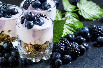 Homemade granola with yogurt, blueberry and blackberry in glass