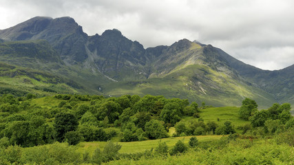 Scotland, Elgol - meadow landscape, nature