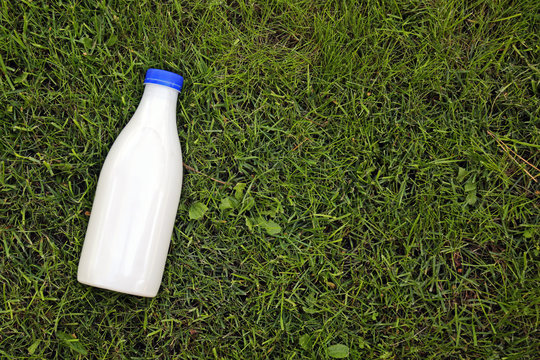 Top View Of Milk Bottle On The Grass With Copy Space