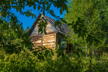 деревянный дачный домик с треугольной крышей среди деревьев © plaksik13