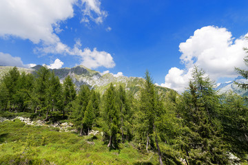 National Park of Adamello Brenta - Italy / Peaks in the National Park of Adamello Brenta. Trentino Alto Adige, Italy