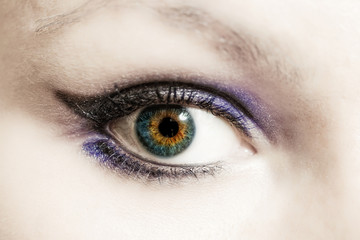 female eye with make-up macro