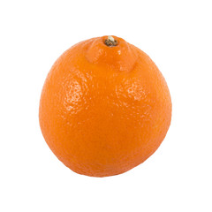 tangelo isolated on white