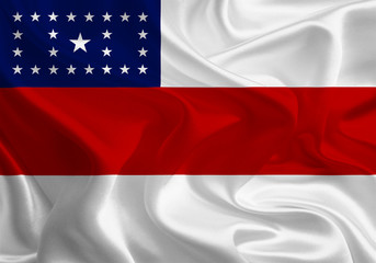 Brazil State Flags: Waving Fabric Flag of Amazonas