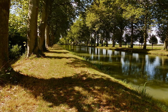 Montech - Canal, Canal du Midi, Ecluse, Platane