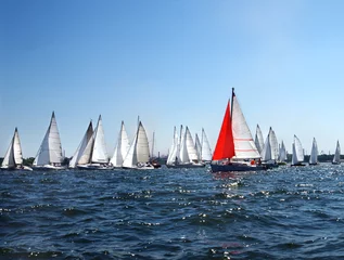 Photo sur Plexiglas Naviguer lots of sailboats on a blue surface of water against the blue sky