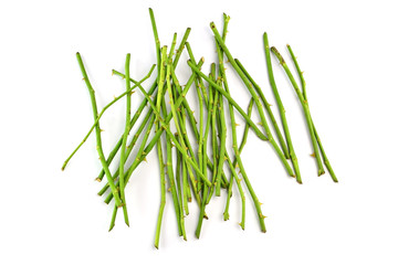 rose stems on white background