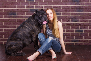 girl sitting near brick wall next to the dog Cane Corso