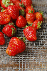 Ripe strawberries