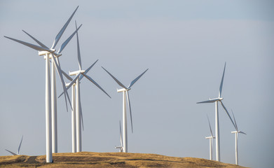 Wind turbines in the Columbia River Gorge