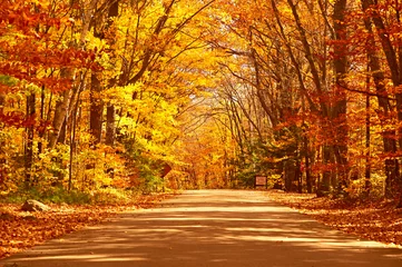 Fototapete Herbst Herbstszene mit Straße