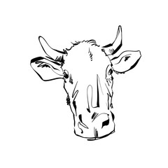 Black and white hand drawn cow, illustration of a cow.
