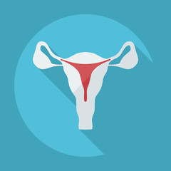 Flat modern design with shadow icons uterus