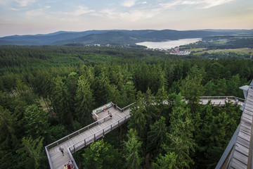 Lipno, Stezka korunami stromů