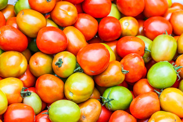 Tomatoes