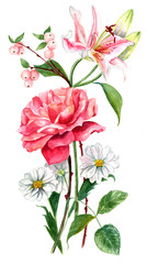 A vintage style watercolour drawing of a bouquet of roses and other flowers