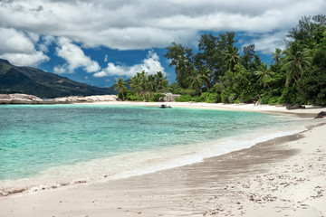 Seychelle island beach, untouched nature, vacation background