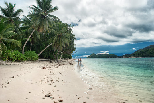 Tropical island at summer day, seashore landscape, nature of Seychelle island 