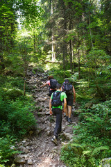 Hikers family going uphill on a trail