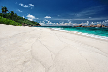 Perfect sandy beach in hot summer day