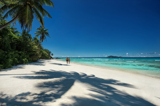 Tropical sandy beach with a shadow of the coconut palm trees