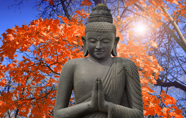 Old Budha - statue in Asia and Red maple 