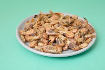 Common Shrimp