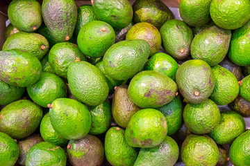 Fresh green avocados for sale at a market