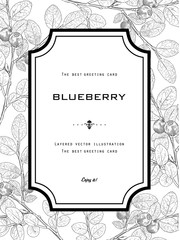 Vintage Greeting Card with Blueberry with Leafs. 
