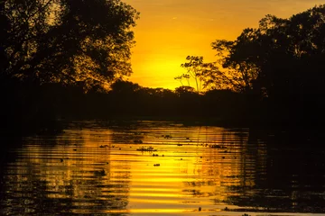 Zelfklevend Fotobehang Fiery Orange Amazon Sunset © jkraft5