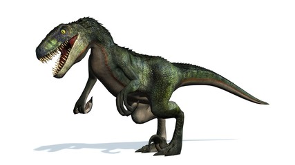 Fototapeta premium velociraptor dinosaurs - isolated on white background