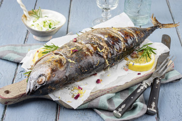 Bonito gegrillt