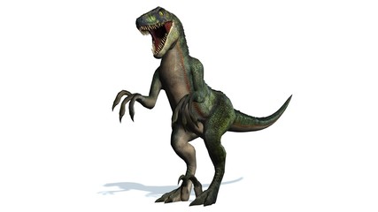 Obraz premium velociraptor dinosaurs - isolated on white background