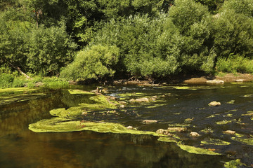 Desna riverbank in Dubrovitsy. Russia