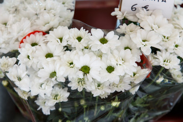 Obraz na płótnie Canvas white flowers from the florist's shop