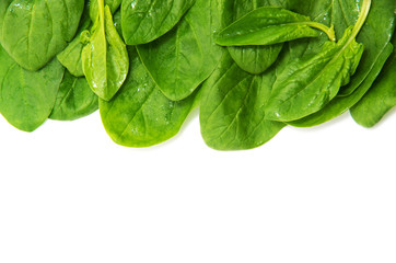 Spinach on a white background