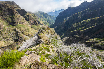 Fototapeta na wymiar Mountain landscape between Pico do Arieiro and Pico Ruivo, Madeira (Portugal) 