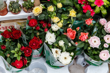 colorful beautiful flowers from the florist's shop